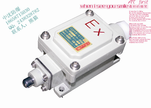 防爆行程開關(guān)廠家 BLX5具體價(jià)格 防爆行程開關(guān) 防爆行程開關(guān)多少錢