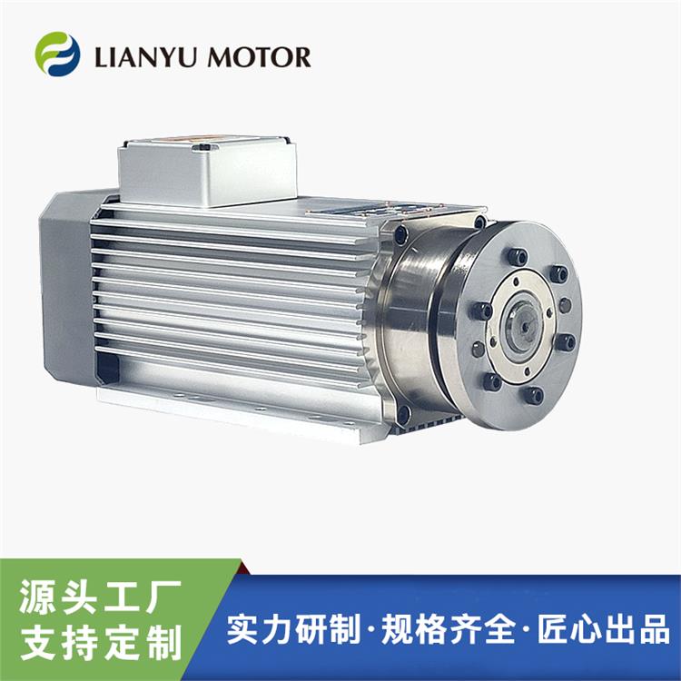 LIANYU高速精密 打磨電機 磨削 打孔 修邊 雕刻 方形風(fēng)冷 三相380V 電主軸