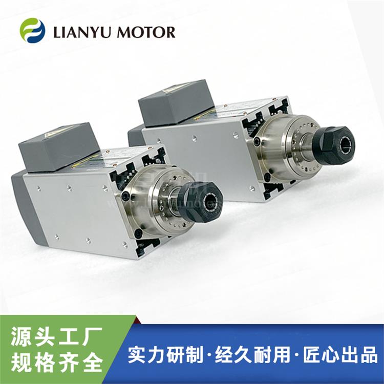 LIANYU MOTOR電主軸 三相高速鉆孔雕刻鋸切打磨電機 高精密12000轉(zhuǎn)