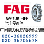 1302TV軸承FAG尺寸參數(shù)bearing