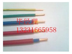 天聯(lián)-機(jī)場(chǎng)燈光用電纜JDYJY-2KV -1X2.5畢經(jīng)理