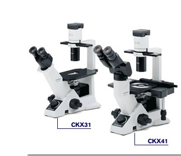 CKX31奧林巴斯倒置顯微鏡