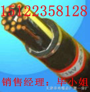 供應(yīng)SYV23,SYV53 同軸電纜（價(jià)格/報(bào)價(jià)）【廠家直銷(xiāo)】