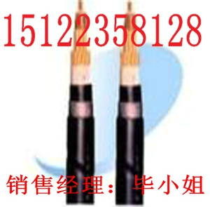 最新供應(yīng)視頻線(xiàn)SYV-75-7價(jià)格 SYV-75-5 SYV-75