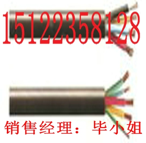 最新供應(yīng)MHYV礦用信號電纜MHYV 1X4X7/0。37/價(jià)格/