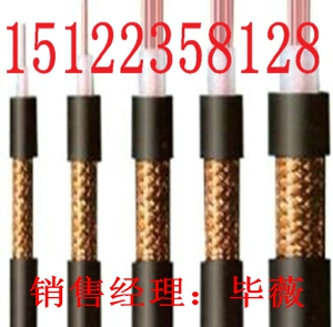 最新供應(yīng) 廣播鎧裝屏蔽電纜HYPV29 4×1×1.0/價(jià)格/報(bào)價(jià)