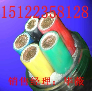 國(guó)標(biāo)SYV75 9 價(jià)格 視頻線價(jià)格-SYV75 9 報(bào)價(jià)