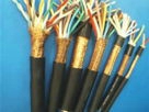 天津電纜-RVVSP 2*0.5絞型屏蔽軟電纜-廠家熱銷