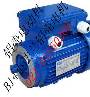 鋁殼電動機(jī)120W|0.12千瓦鋁殼電動機(jī)（圖）