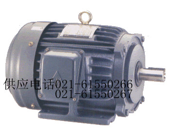 AEEF FAC 40HP 30KW電機(jī)、馬達(dá)、現(xiàn)貨（圖）