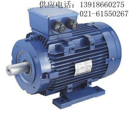 0.75KW同步電動(dòng)機(jī) 0.75KW永磁同步電動(dòng)機(jī)廠(chǎng)家