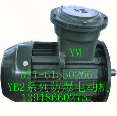 YBP變頻防爆電動(dòng)機(jī)|YBP2系列變頻防爆電動(dòng)機(jī)（圖）