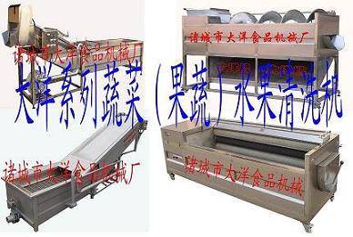 生姜清洗機(jī)、大姜清洗機(jī)、清洗機(jī)設(shè)備