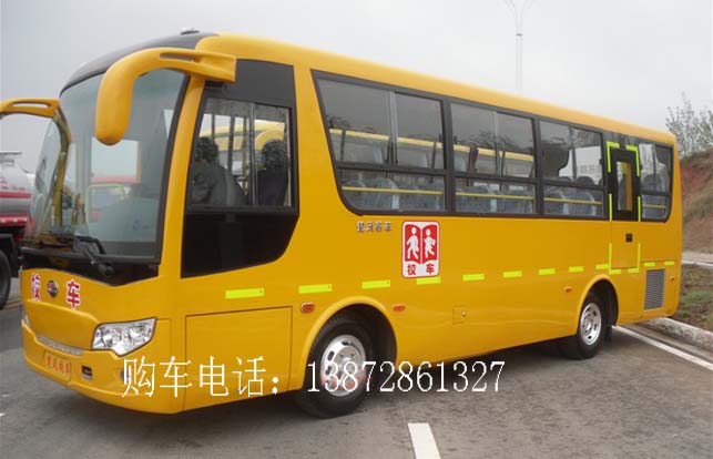 5米、6米、7米、8米、9米校車(chē)，小學(xué)生校車(chē)，幼兒園校車(chē)