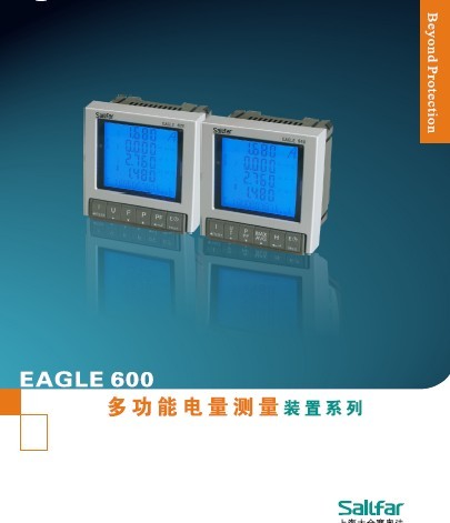 EAGLE600多功能電量測量表