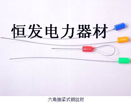 熱銷(xiāo)一次性施封鎖