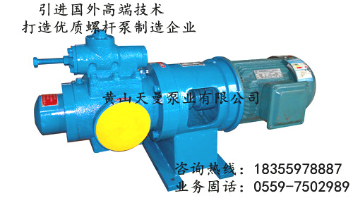 NSNF三螺桿泵，NSNF40R46U12.1W23螺桿泵