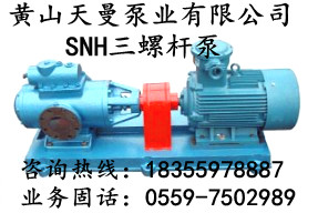 SNH2900R46U12.1W21螺桿泵，主機潤滑油泵