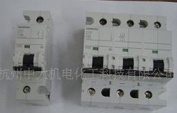 正品西門子 小型斷路器5SP4250-7 50A 2P