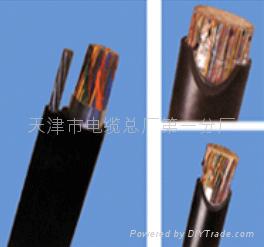 阻燃計算機(jī)屏蔽電纜 ZRB-DJYP2VP2-32-24*2