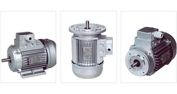 YS系列三相異步電動機(jī)