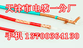 長春1X2X13AWG電纜生產(chǎn)，長春ASTP-120歐姆電纜廠家