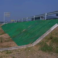 寧海三維植被網廠家【護坡網墊生產工藝】價格定位》