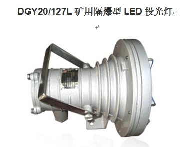 24V投光燈 DGY20/24L隔爆型LED投光燈 20W投光燈