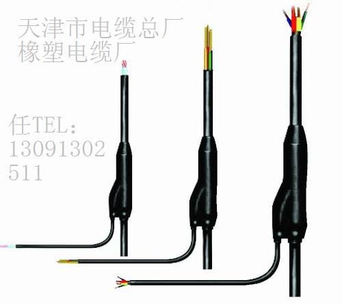 齊全4預(yù)分支電纜_YFD、4預(yù)分支電纜