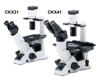 實驗室顯微鏡奧林巴斯CKX41