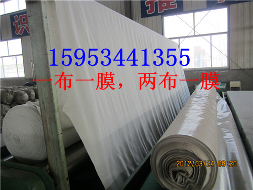 防滲膜（HDPE）200g無(wú)紡布 600g無(wú)紡布銷(xiāo)售