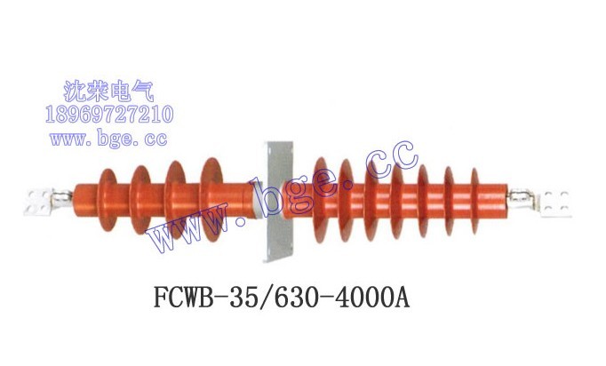 FCWB-10/1250A，F(xiàn)CWB-10/1250A穿墻套管