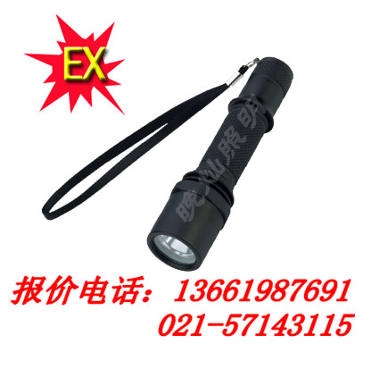 上海制造BAD202全方位防爆電筒，F(xiàn)W6101，RJW7101