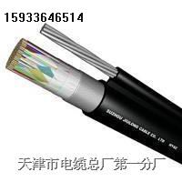 揚(yáng)聲器電纜， 驅(qū)動(dòng)揚(yáng)聲器電纜 HAV 2X32X0.15