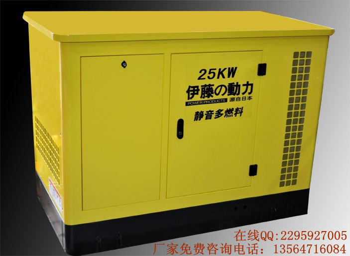 25KW多燃料發(fā)電機(jī)  汽油發(fā)電機(jī)  大型汽油發(fā)電機(jī)