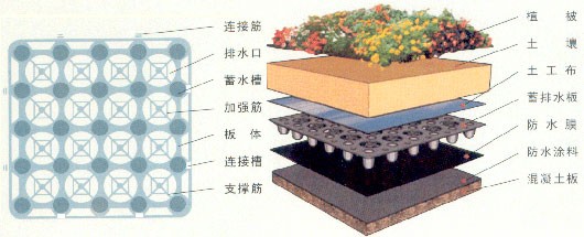 青島屋頂綠化蓄排水板臨沂排水板限時銷售