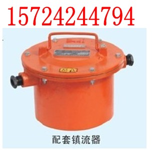 ZBD175/127鎮(zhèn)流器，礦用投光燈鎮(zhèn)流器