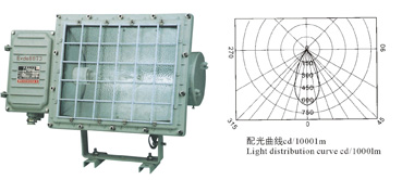 GC51防水防塵方燈、BSD 系列防爆投光燈