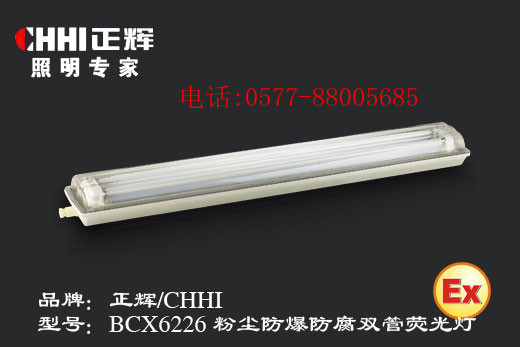 粉塵防爆防腐雙管熒光燈BCX6226