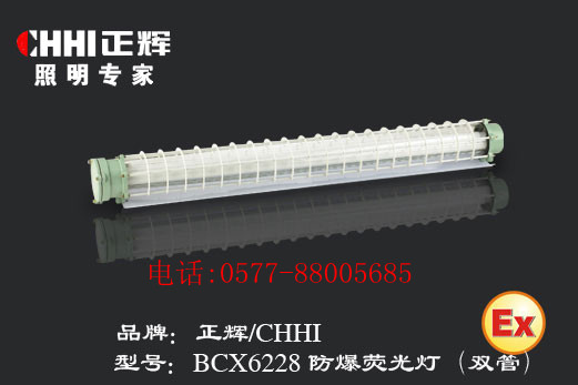 防爆熒光燈BCX6228