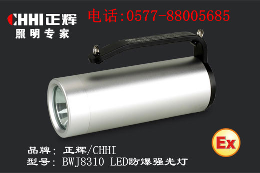 供應浙江正輝照明BWJ8310 LED防爆強光燈