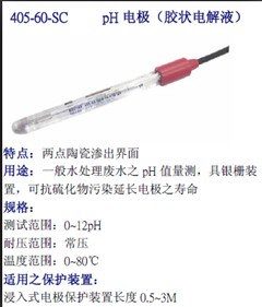 405-60-SC-P-PA-K19/120，梅特勒，臺(tái)灣上泰，I