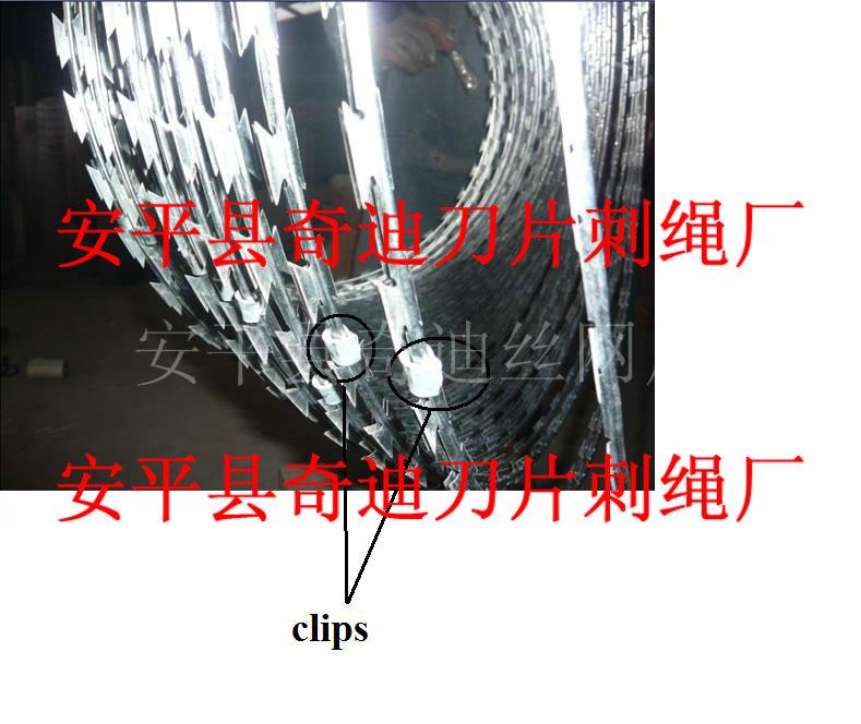 刀刺網(wǎng)，帶刺網(wǎng)，刀片刺繩，刺線