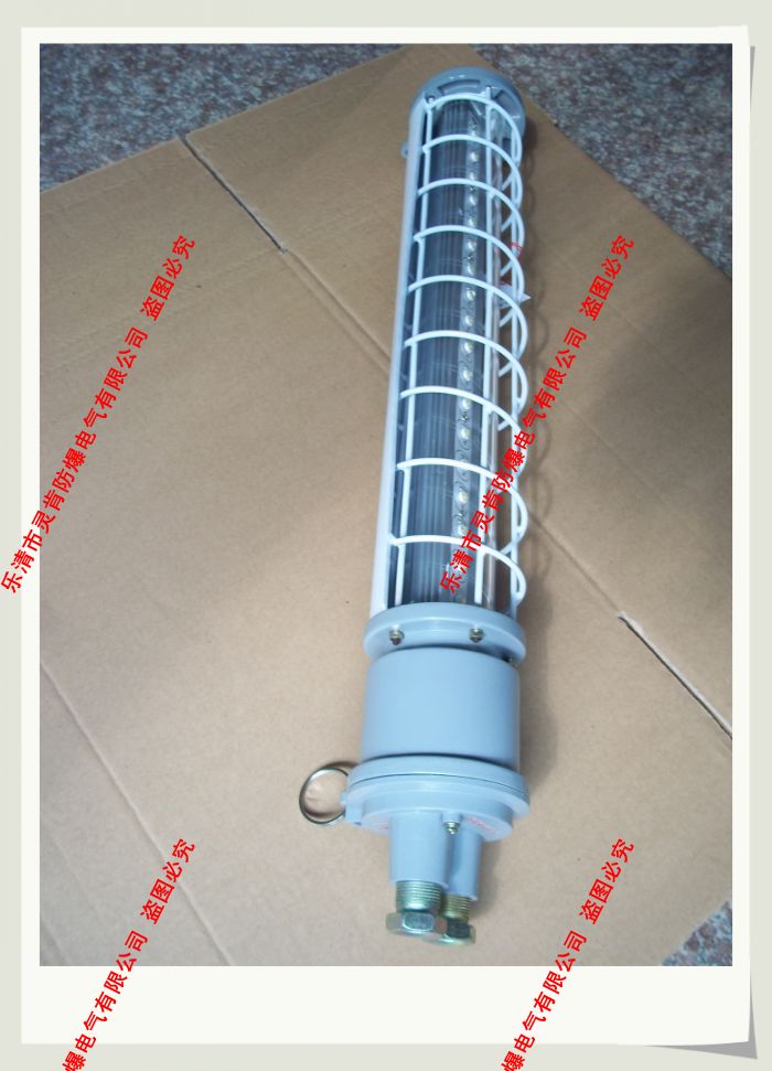 DGS24/127L(E)，礦用隔爆型LED巷道燈，礦用巷道燈