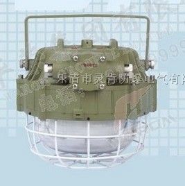 DGS55/127W(A),DGS23/127W礦用隔爆型無極燈