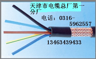 HYAT—100×2×0.5 全色譜全塑雙絞通信電纜的結(jié)構(gòu)與類型