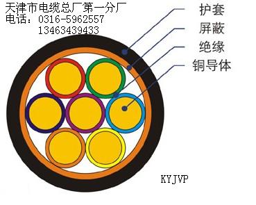 AVP屏蔽絕緣電線(xiàn) 屏蔽絕緣安裝電線(xiàn) 屏蔽絕緣安裝電線(xiàn)價(jià)格