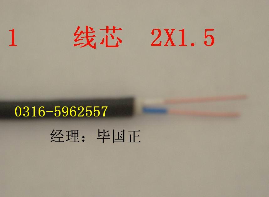 銅芯實心聚烯烴絕緣自承式擋潮層聚乙烯護套市內(nèi)通信電纜