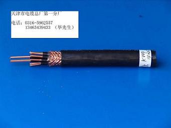 銅帶屏蔽鋼帶鎧裝控制電纜 KVVP2-22/5x0.5控制電纜價格