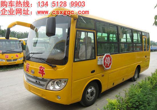 安全技術(shù)條件標(biāo)準(zhǔn) 小學(xué)生校車價格圖片參數(shù)